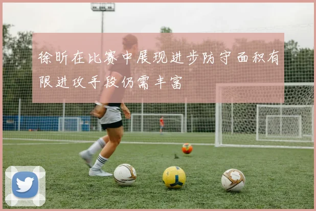 徐昕在比赛中展现进步防守面积有限进攻手段仍需丰富