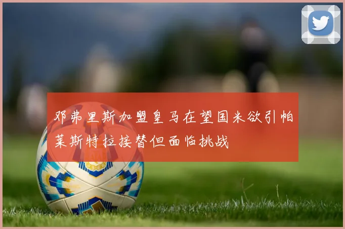 邓弗里斯加盟皇马在望国米欲引帕莱斯特拉接替但面临挑战